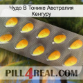 Чудо В Тонике Австралия Кенгуру cialis1